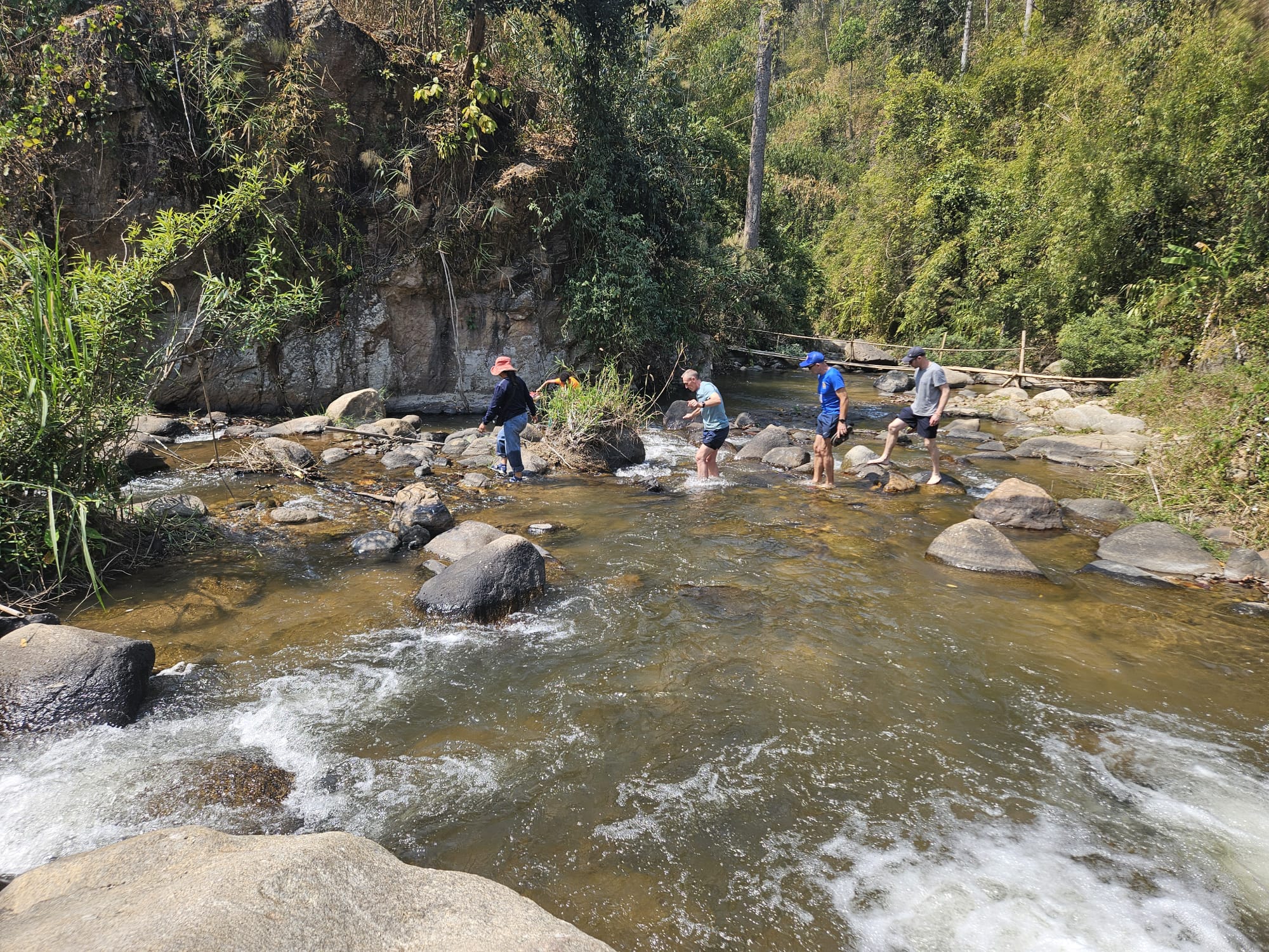 Participants traversant un cours d’eau dans un paysage forestier